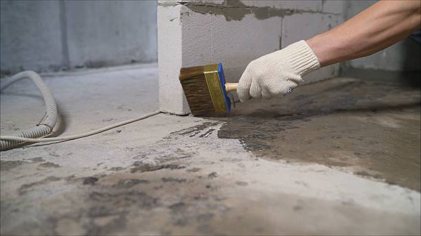 Top rated local Waterproofing specialists in Grass Lake, MI